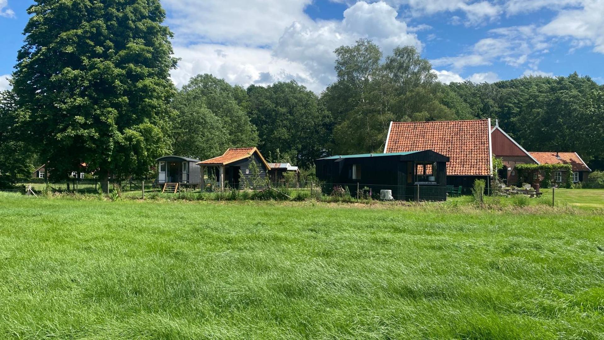 Φωτογραφία 3: Tiny house, pipowagen onder de kastanje