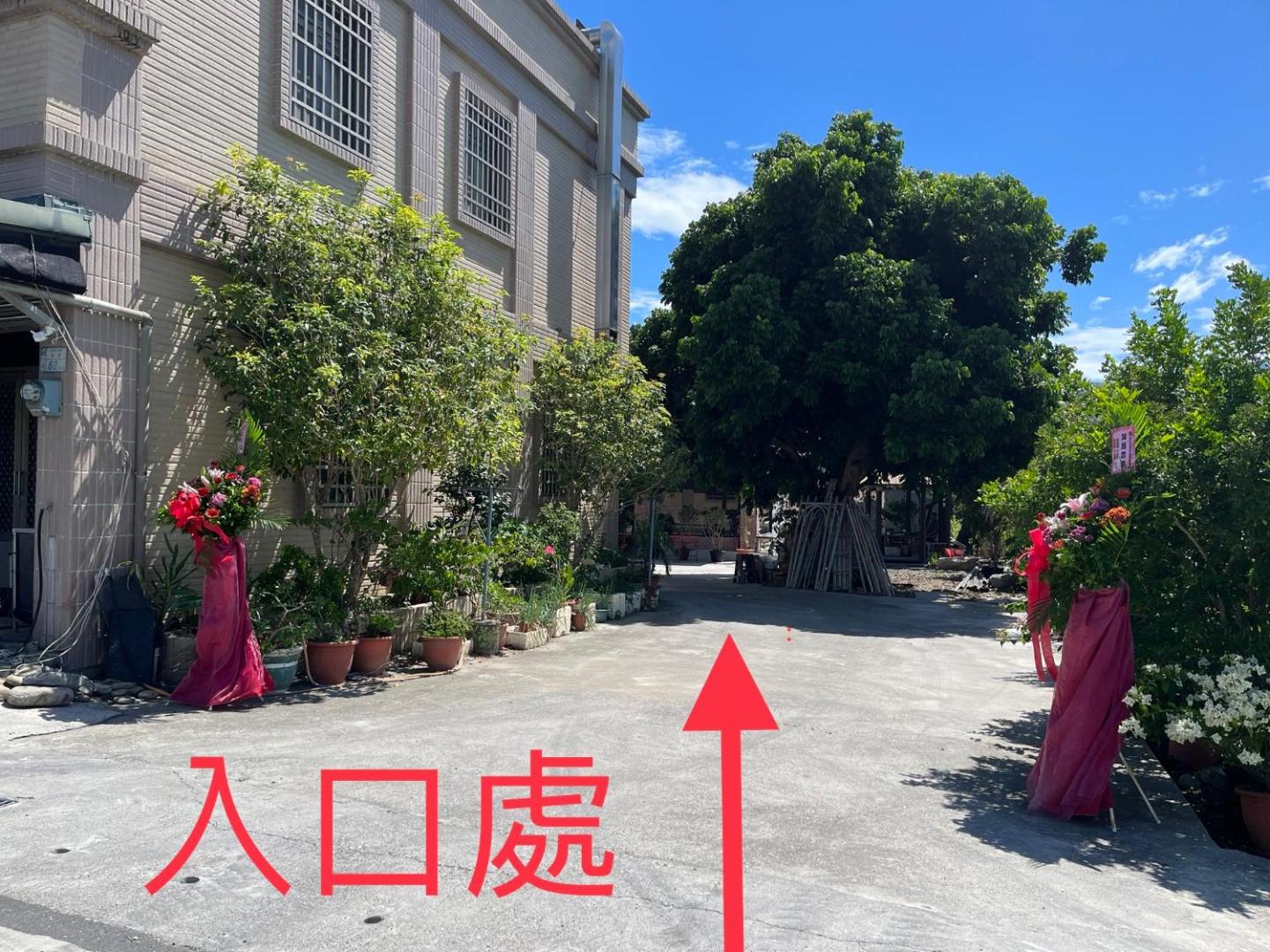 池藍麗野民宿的照片6