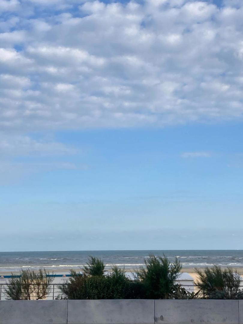 Foto 9: Strandstudio in hartje Koksijde