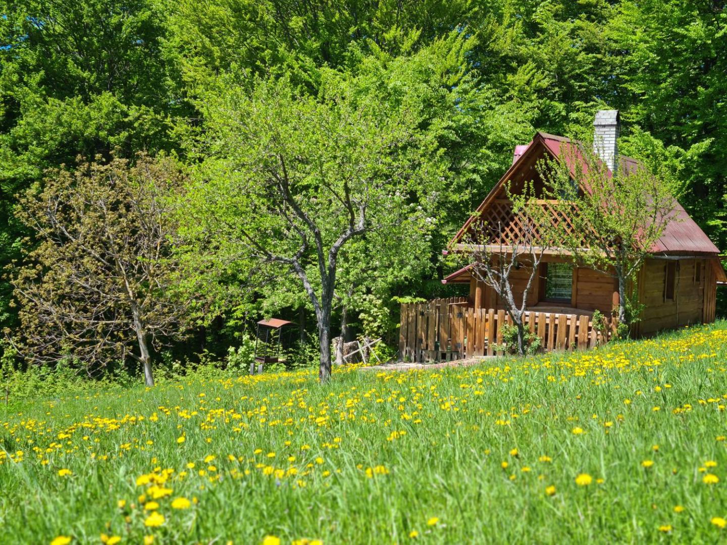 Photo 2 : Трембіта