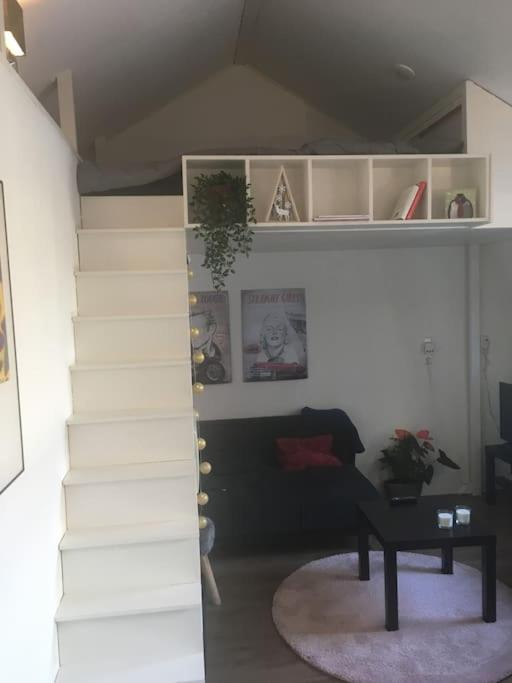 Studio, 21 minutes by bus to downtown Amsterdam photo 8