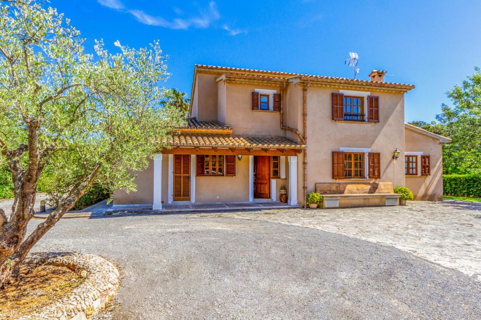 Billede 7: Pollensa - 3507-75 Mallorca - rei petit-