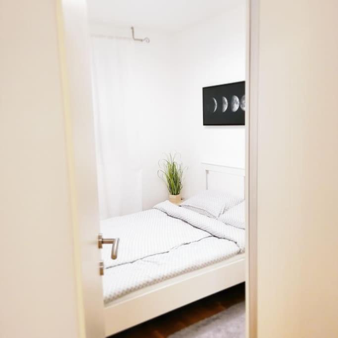Apartment Sofial的照片7