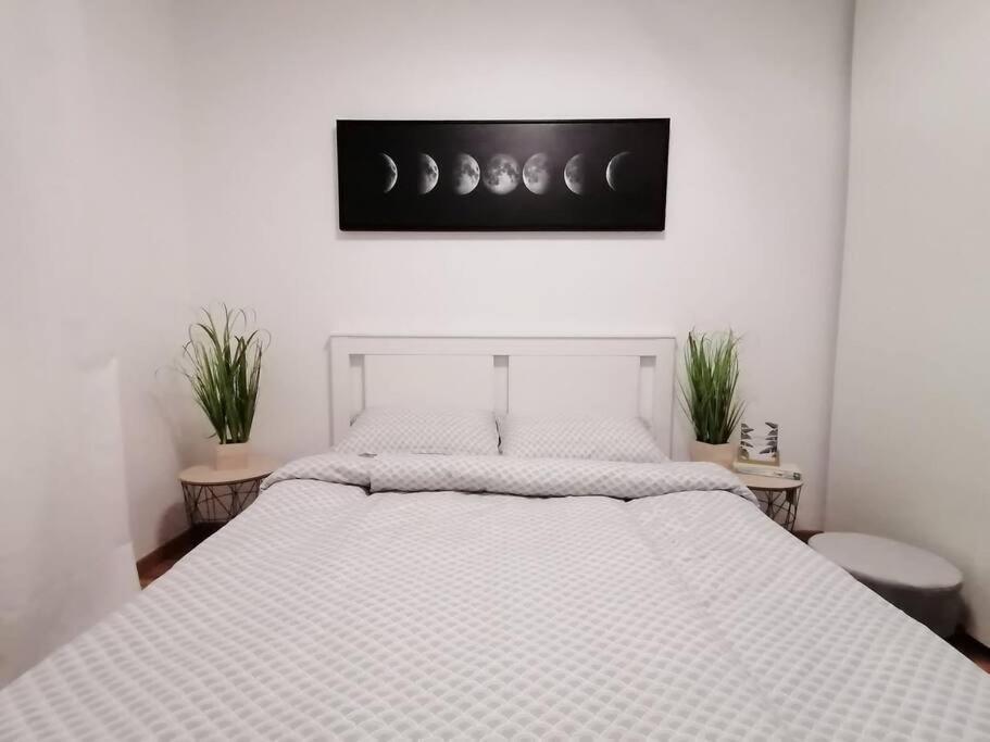 Apartment Sofial的照片6