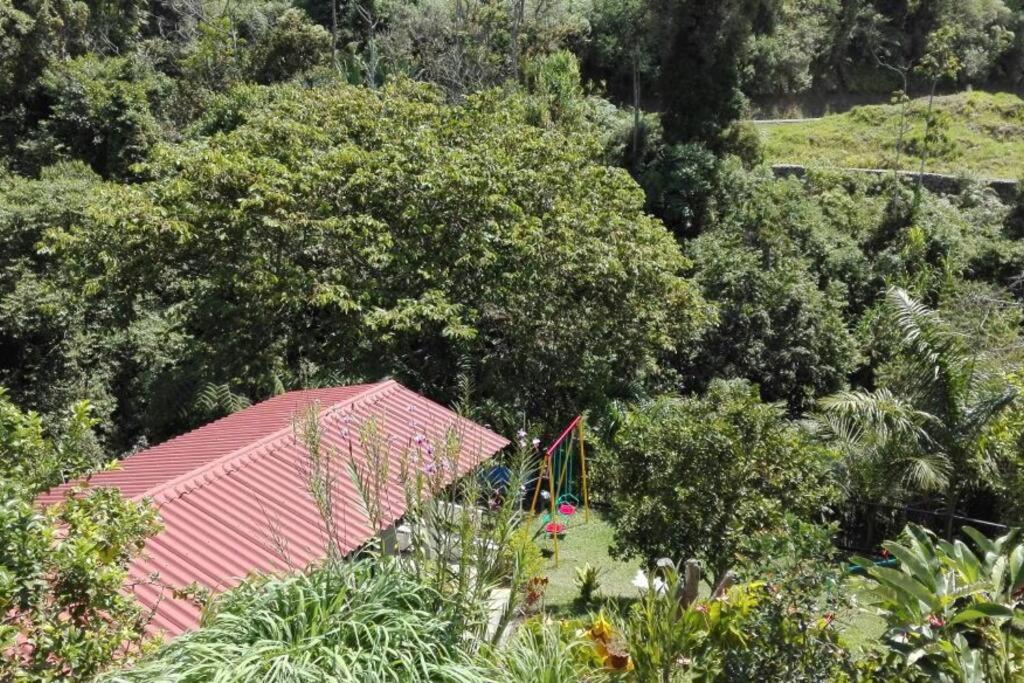 Foto 3: Backyard loft in the heart of the forest