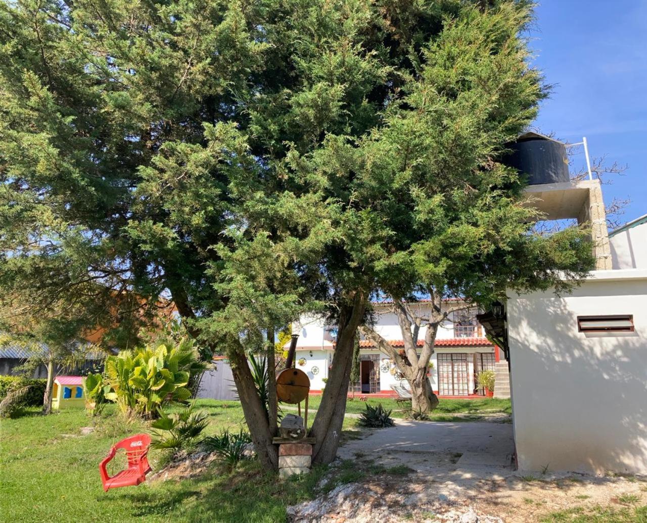 Villa Sofia photo 5