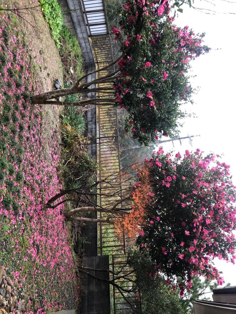 桃源郷の写真4