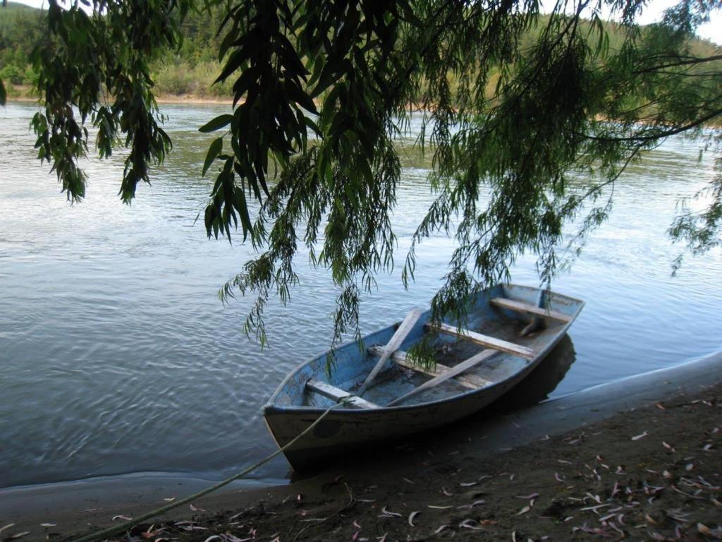 Bilde 8: Forel