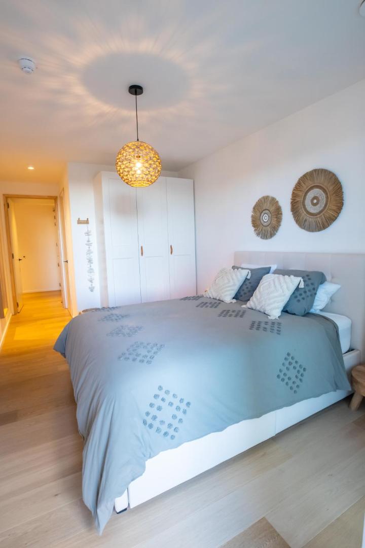 Het Duinterras, Quiet and cozy with big terrasの写真6