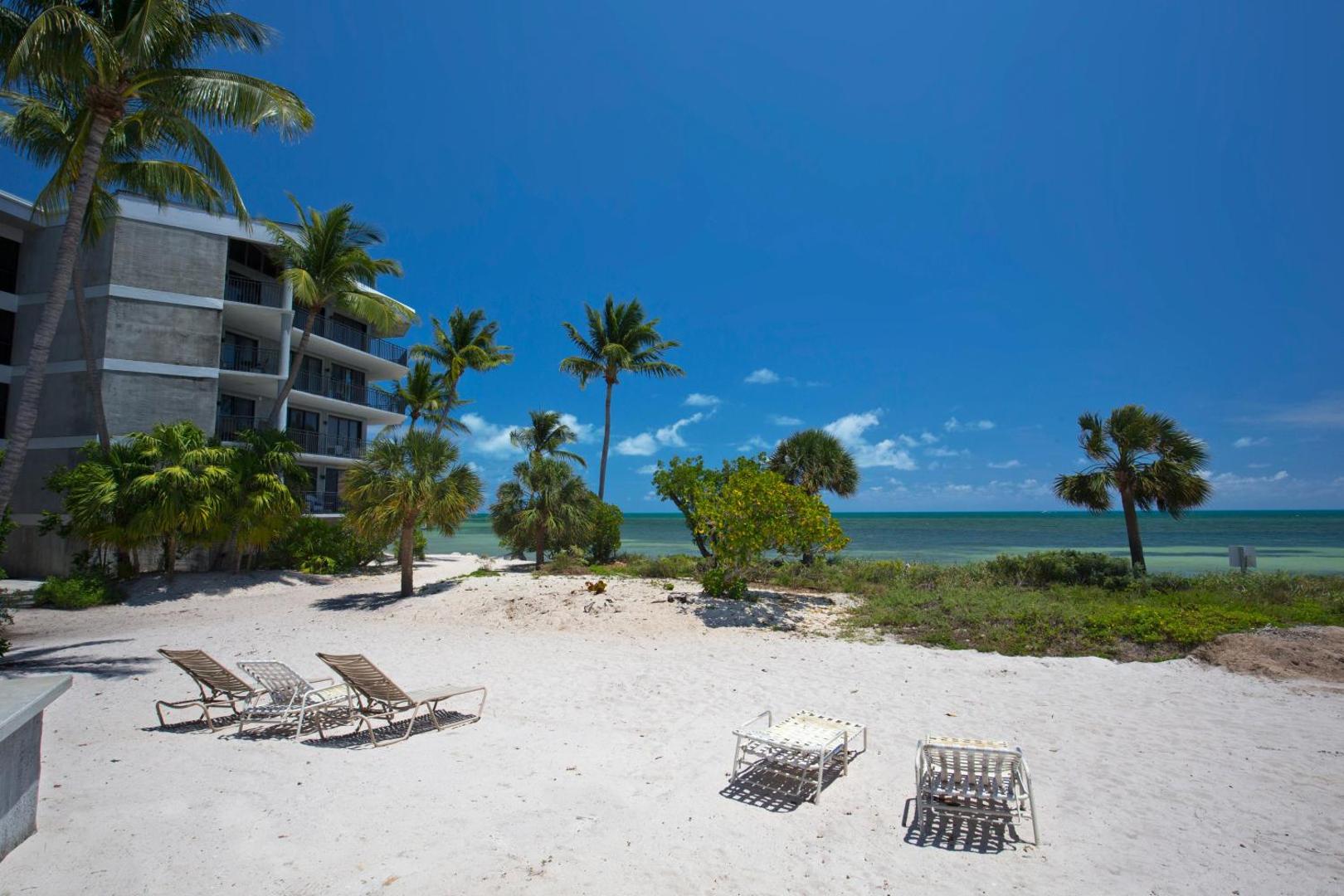 Tranquility by the Beach photo 10