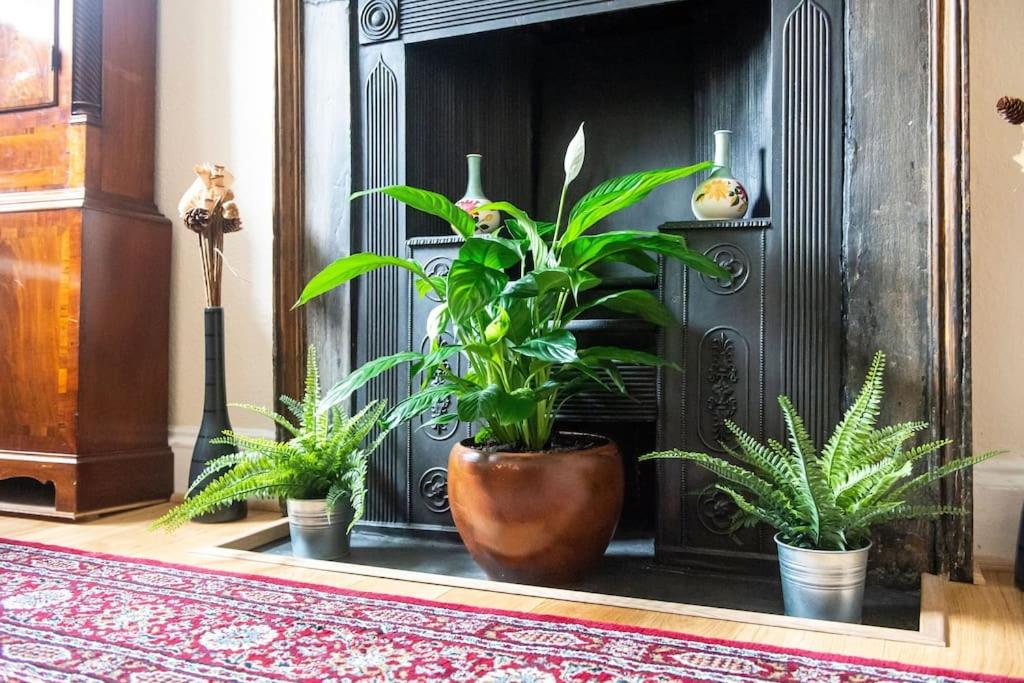 Billede 6: charm & character on historic Rose Street