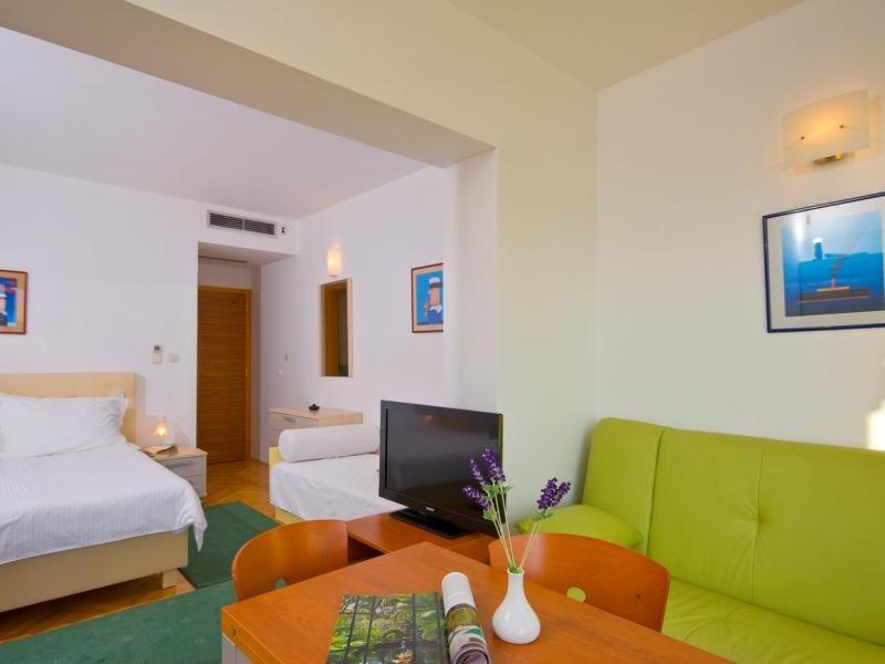 Foto 3: Studio apartment in Brela with a sea view, terrace, air conditioning, WiFi 201-9