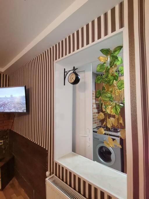 Bilde 10: Cool studio with yard Iveria Sololaki