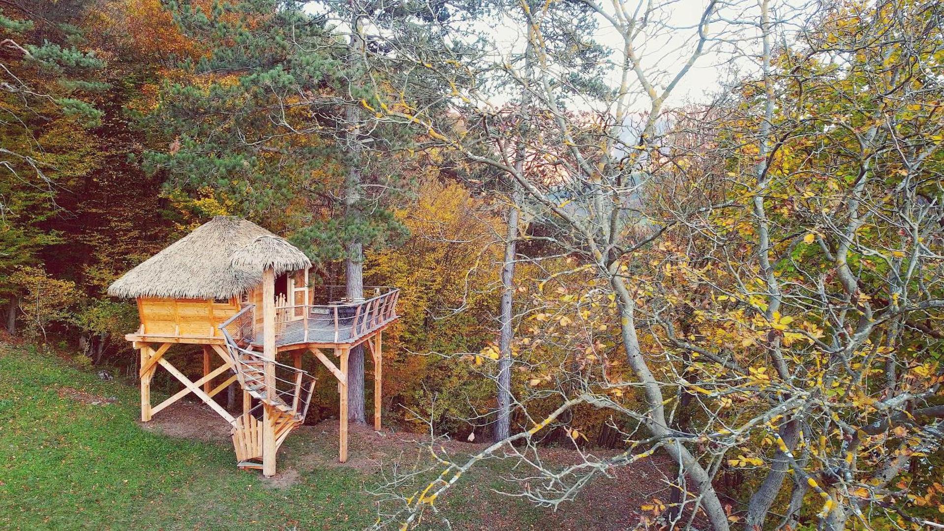 Foto 6: Pine Point