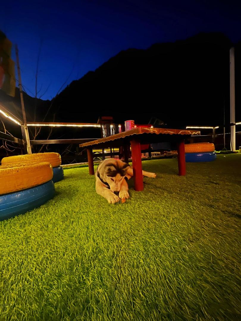 Foto 7: Nirvana by Oztel - Backpacker Hostel