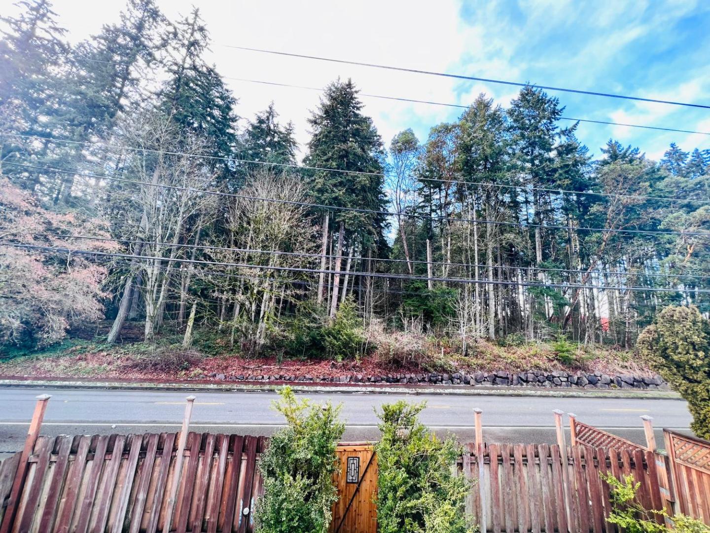 Billede 5: MountForest