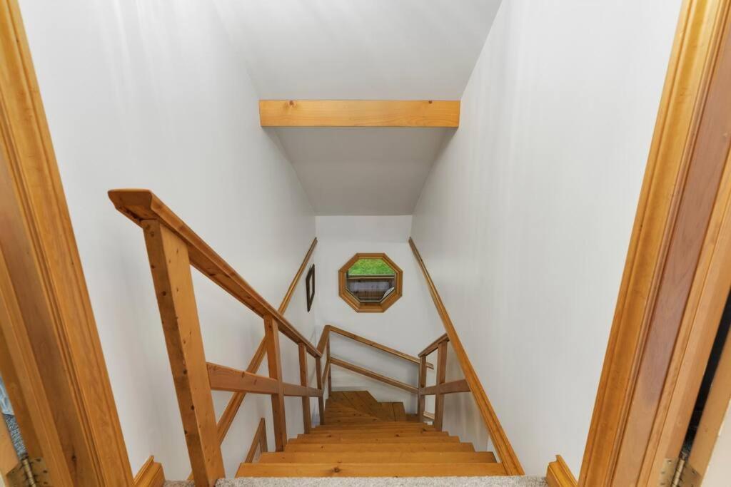 Fotografie 10: Bear Essentials Hideaway