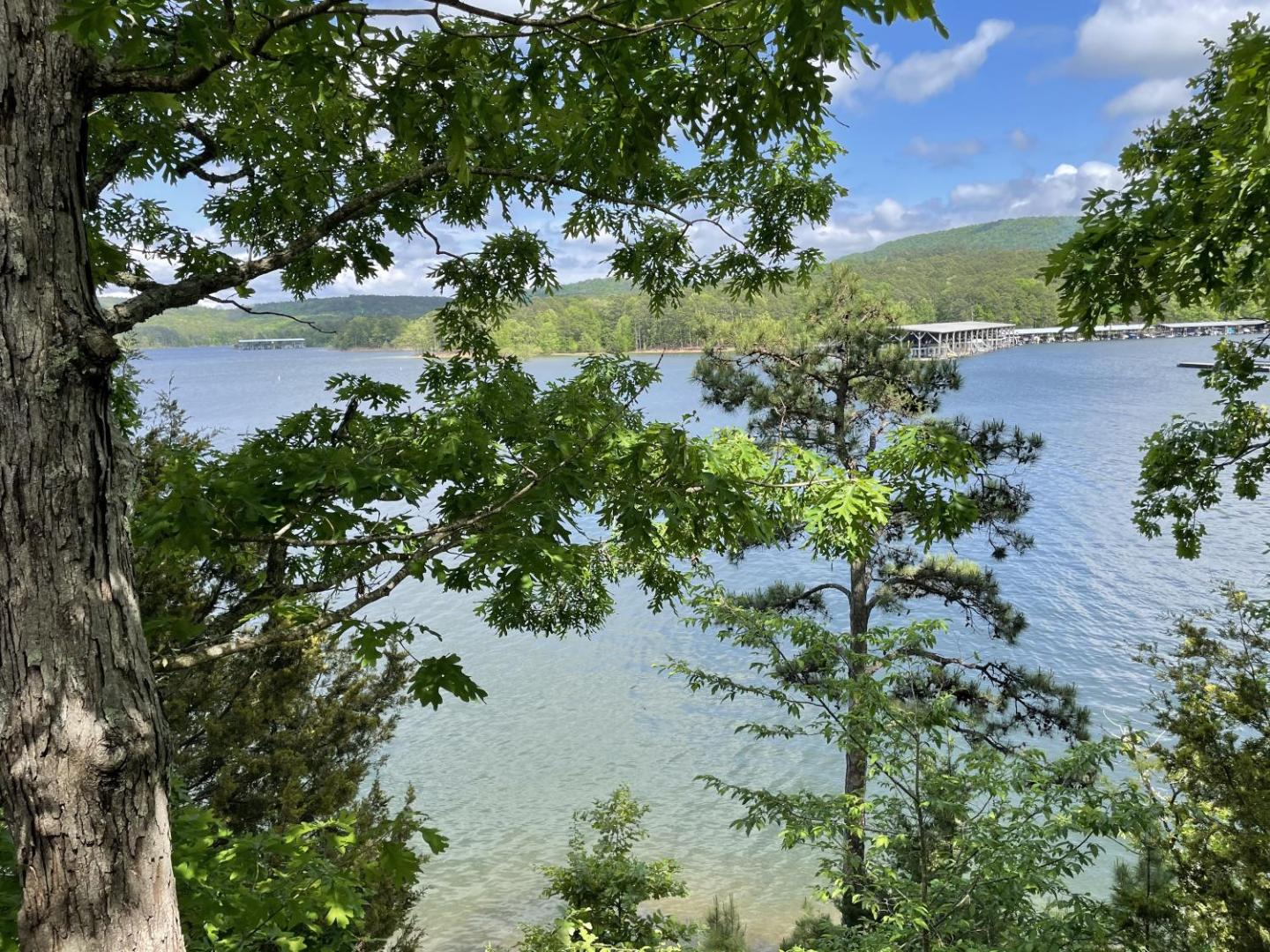 Bild 5: C17 - Lake view three bedroom, three bath log-sided cottage with private hot tub overlooking Lake Ouachita