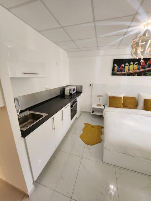 Fotografie 6: Hello-Guyane, Marina 4, Studio Prestige 5 étoiles