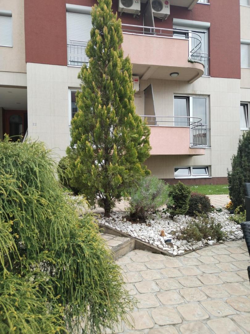 Billede 6: BG apartman