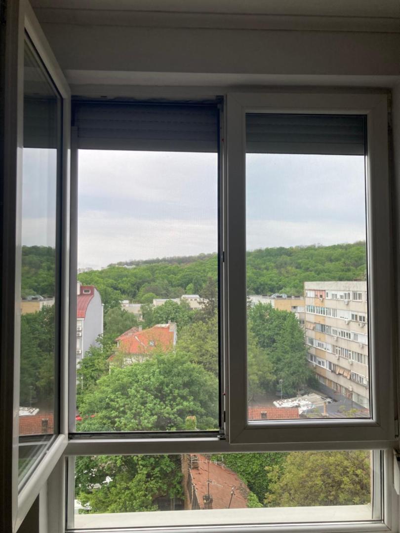 Zdjęcie 9: Forest View