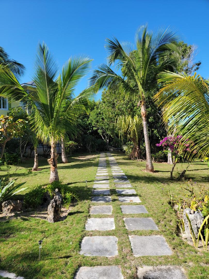 Fotografia 9: Pineapple Fields