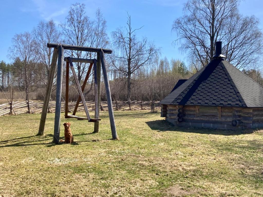 Zdjęcie 8: Kotapiha