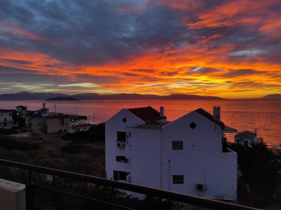 Photo 4 : Sunset