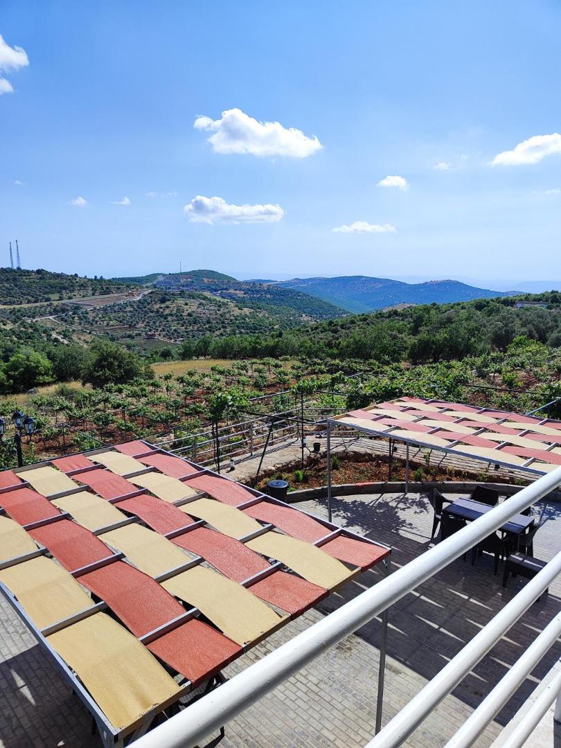 Billede 7: Chalets in the middle of Ajloun forests شاليه و مزرعة في وسط غابات عجلون