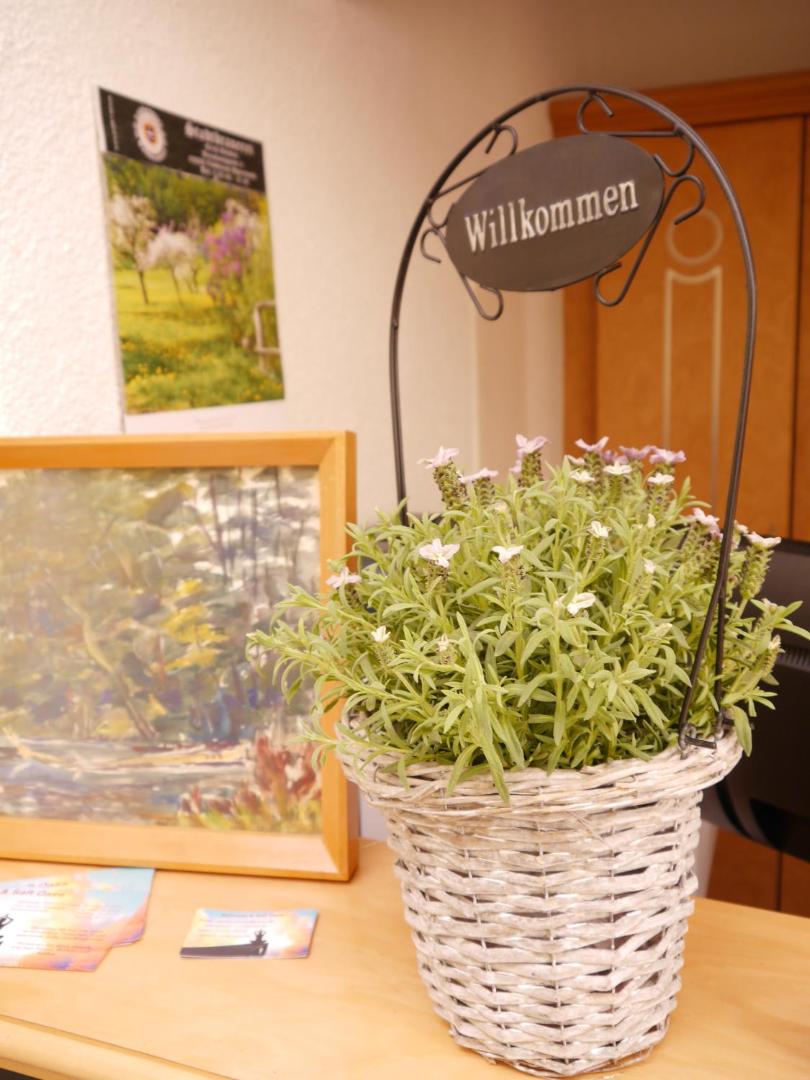 Bed & Breakfast zum alten Ratskeller photo 10