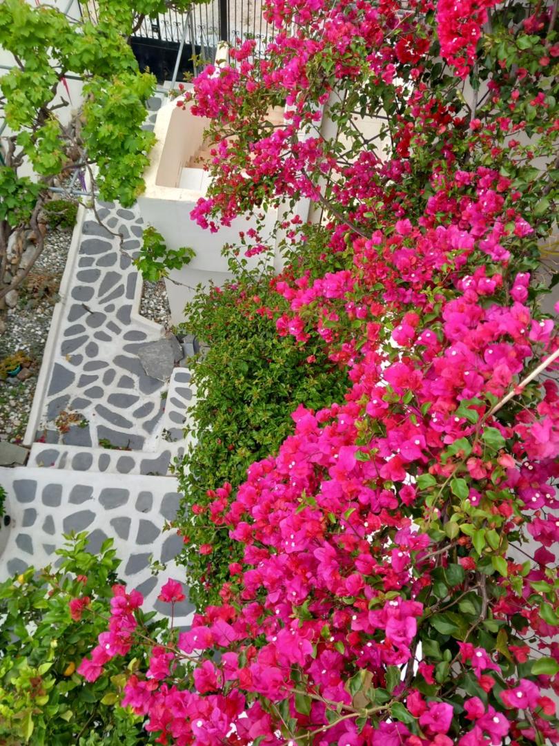 Photo 3 : Studio in Poros