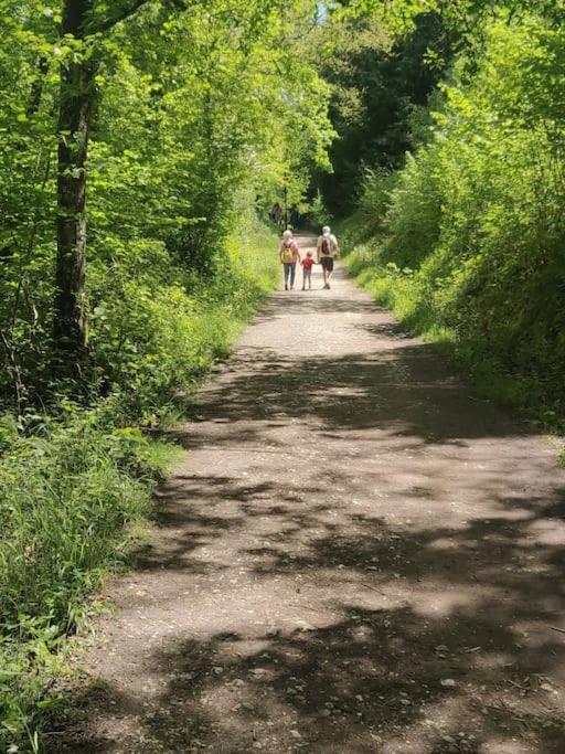 Fotografie 7: Calm & Cosy (sleeps up to 6) - Oakdene Forest Park