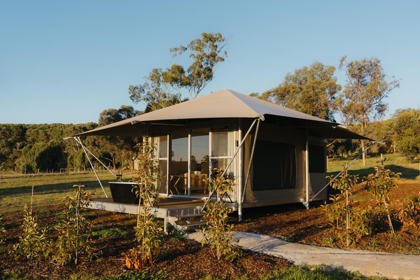 Billede 4: CANVS by CABN Seppeltsfield Barossa