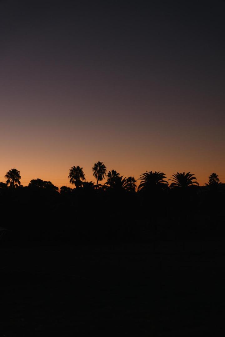 Billede 7: CANVS by CABN Seppeltsfield Barossa