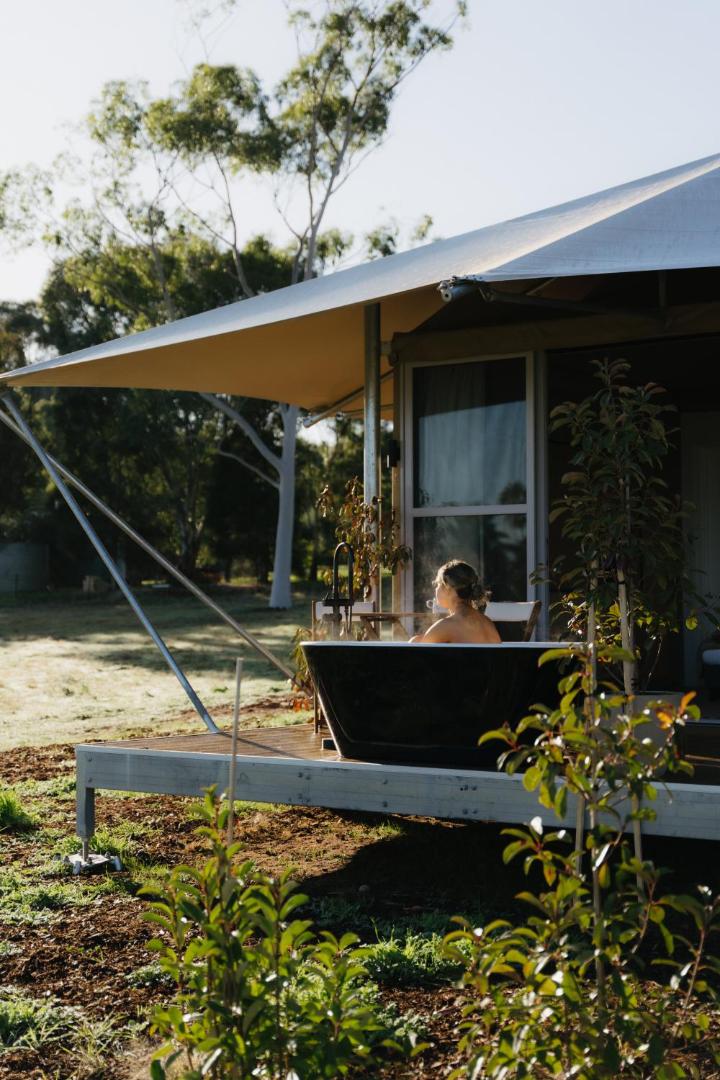 Billede 6: CANVS by CABN Seppeltsfield Barossa