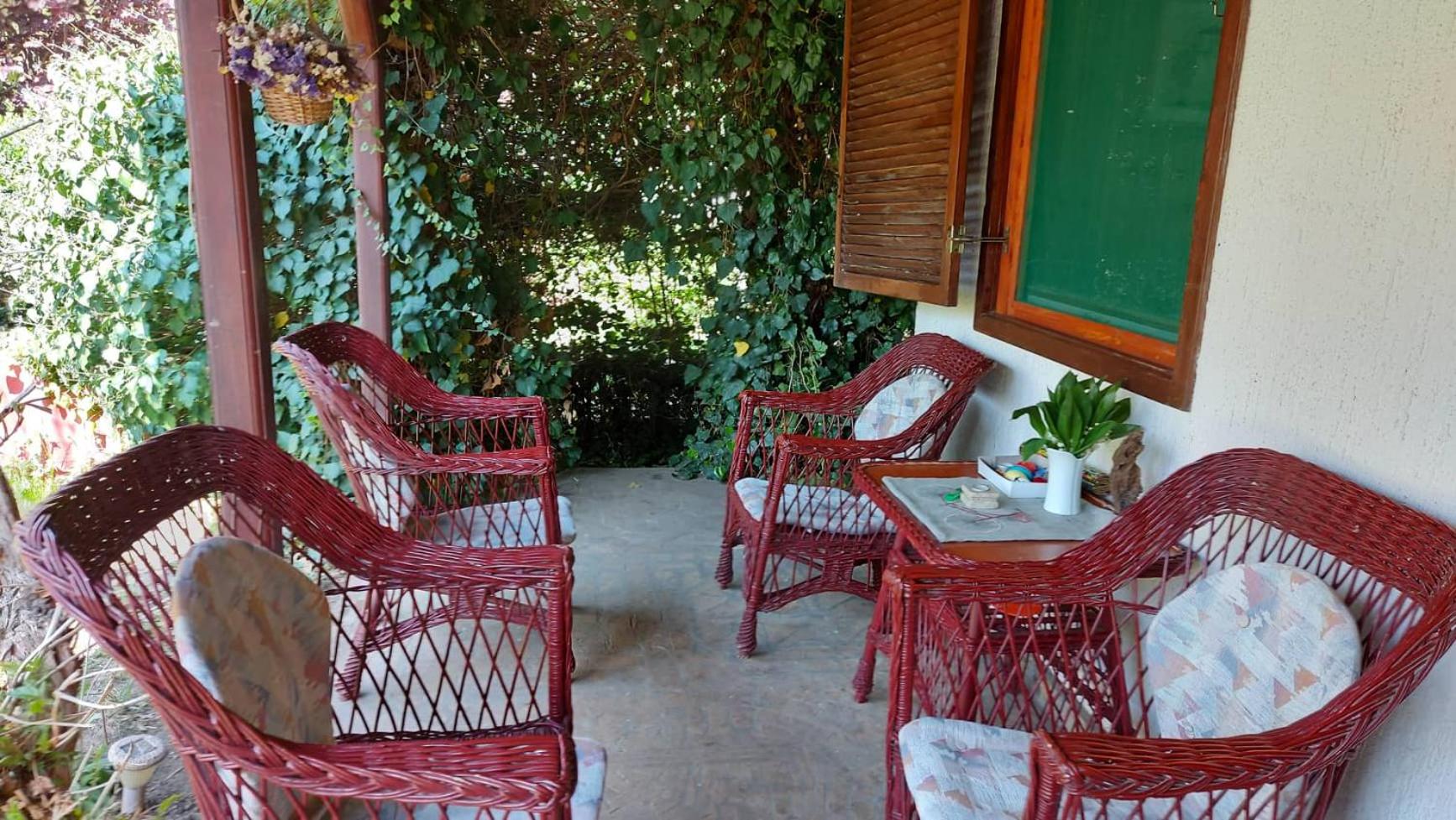 Billede 8: Amazonka