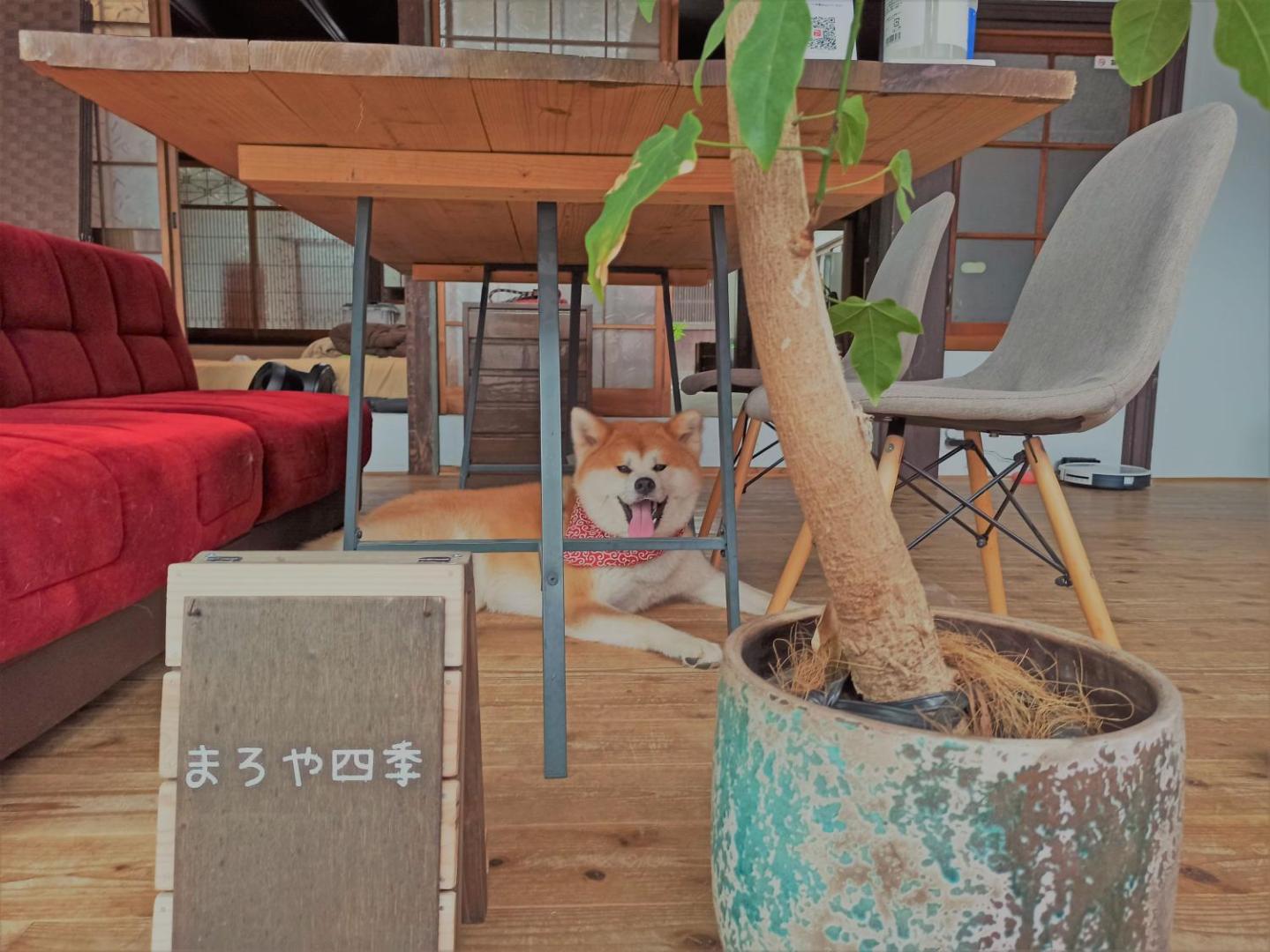 Foto 10: まろや四季