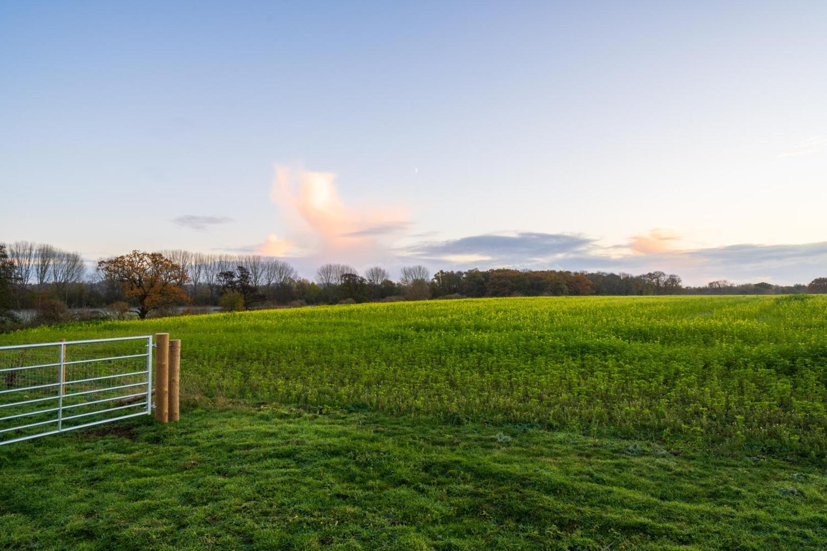 Фотография 10: Appletree - a newly converted luxury barn in Warwickshire on our farm