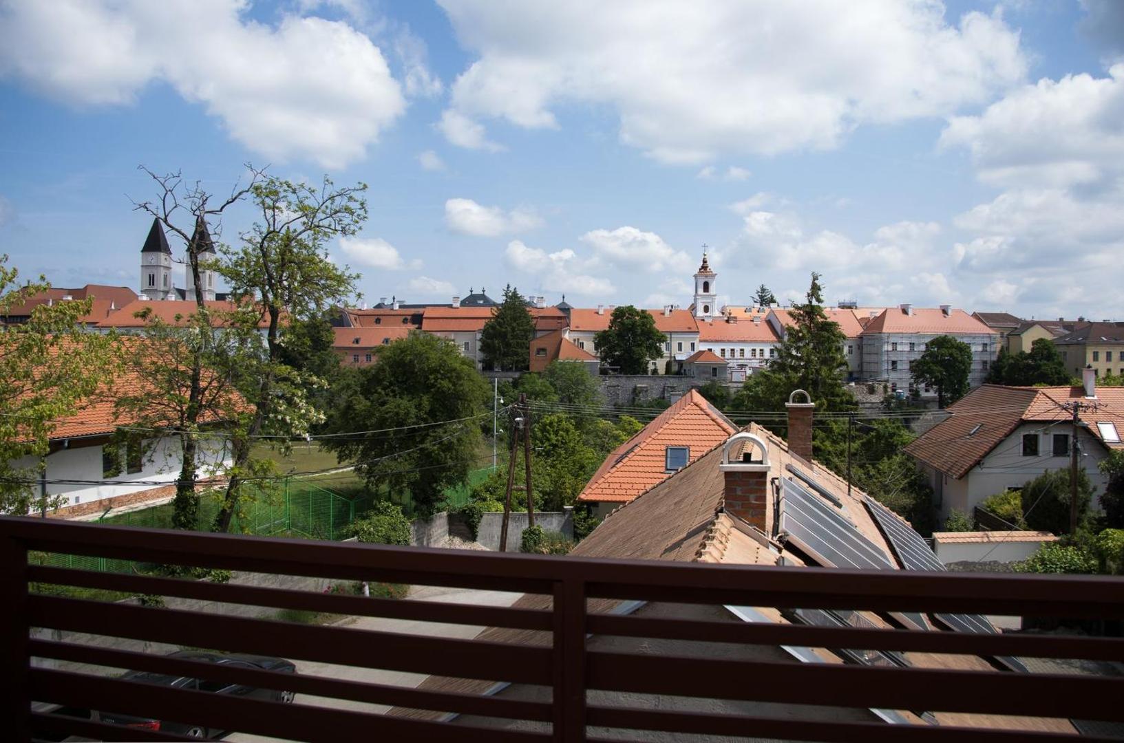 Φωτογραφία 4: Harmat Veszprém