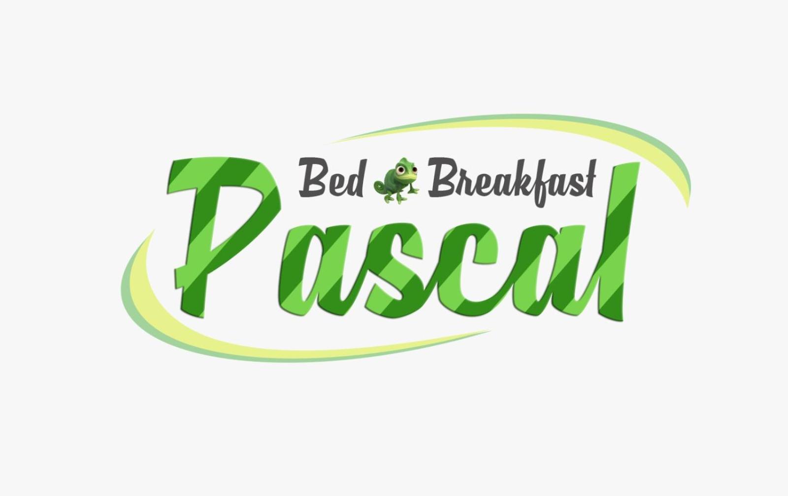 Billede 3: B&B Pascal