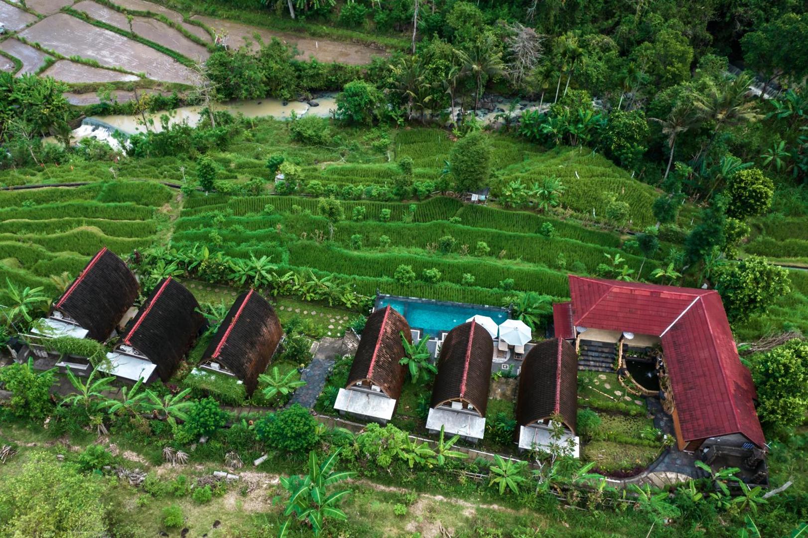 Photo 29