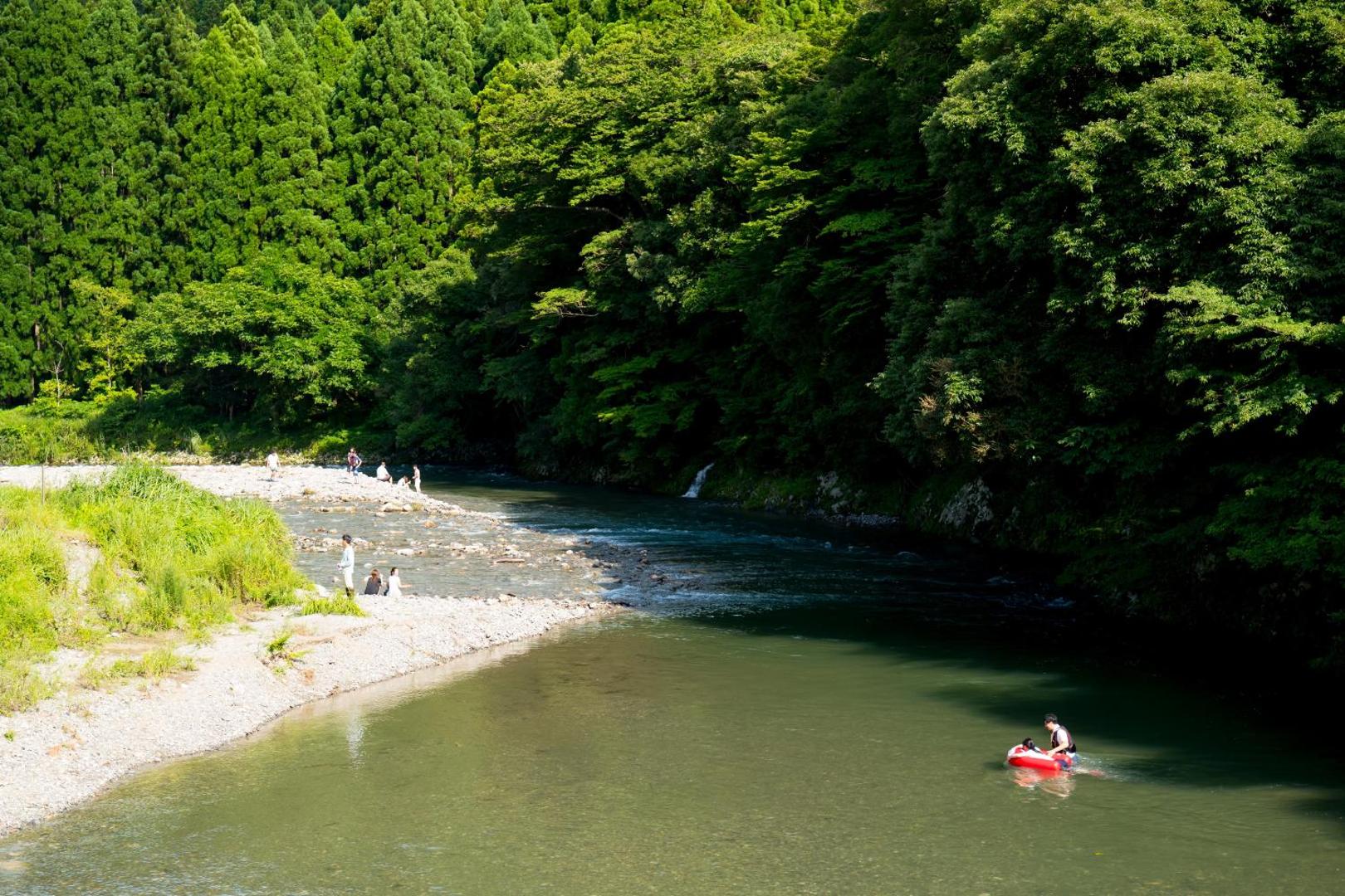 ミヤマテラスの写真3