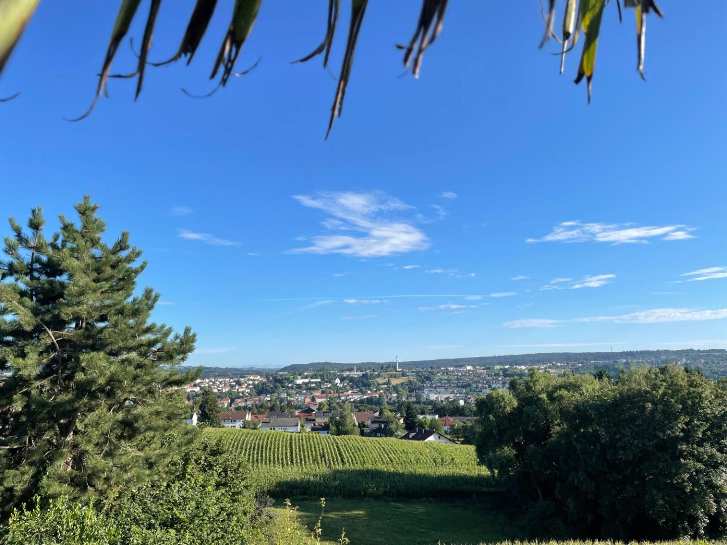 TINY-HOUSE mit Alpen- Stadt- und Poolblick , WLAN photo 8
