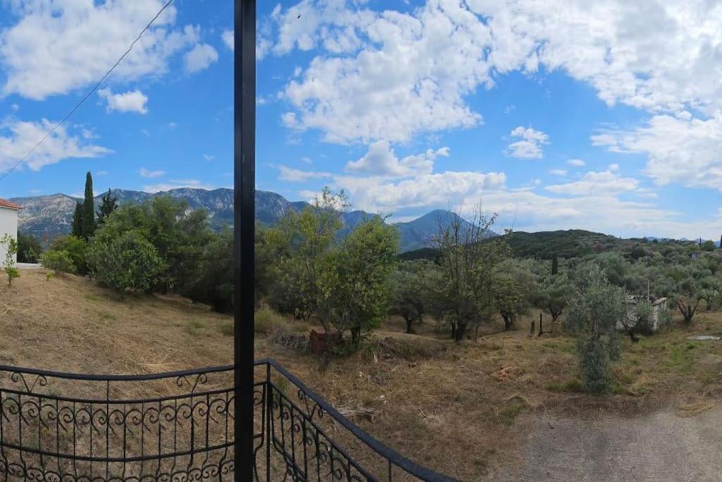 Billede 6: Ελαιώνας με θέα στο βουνό