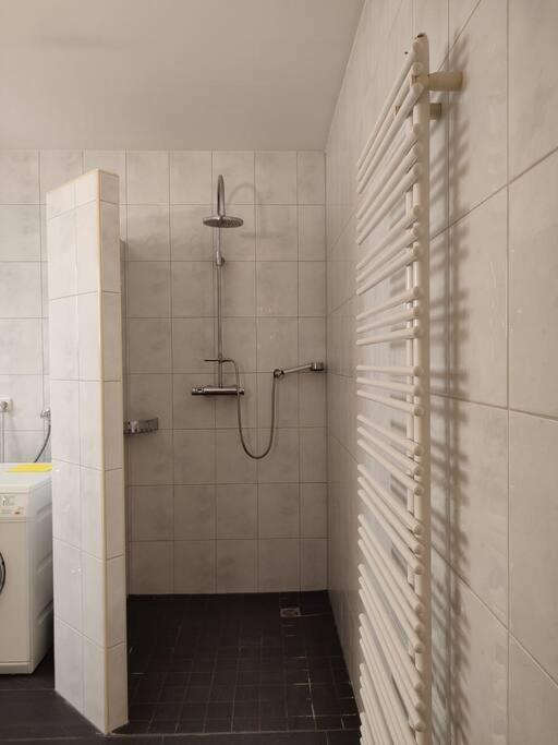 Fotografie 2: Loft mit Kamin und Whirlpool