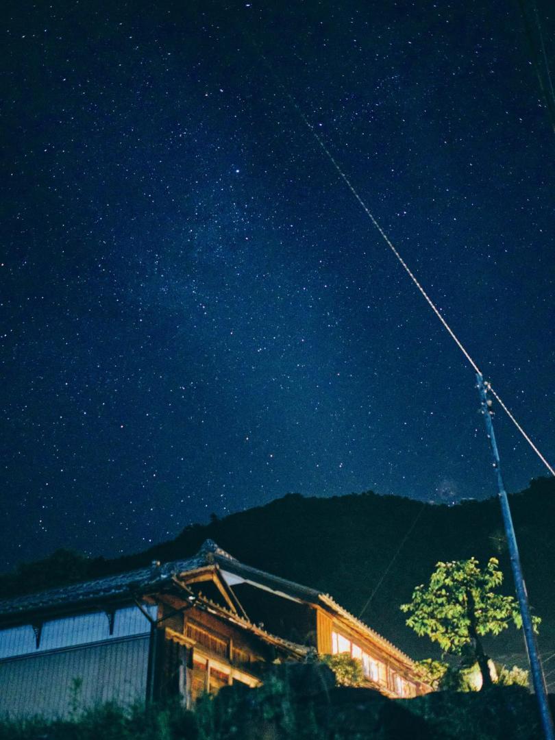 Photo 9 : 和紙にまみれるワラビーランド
