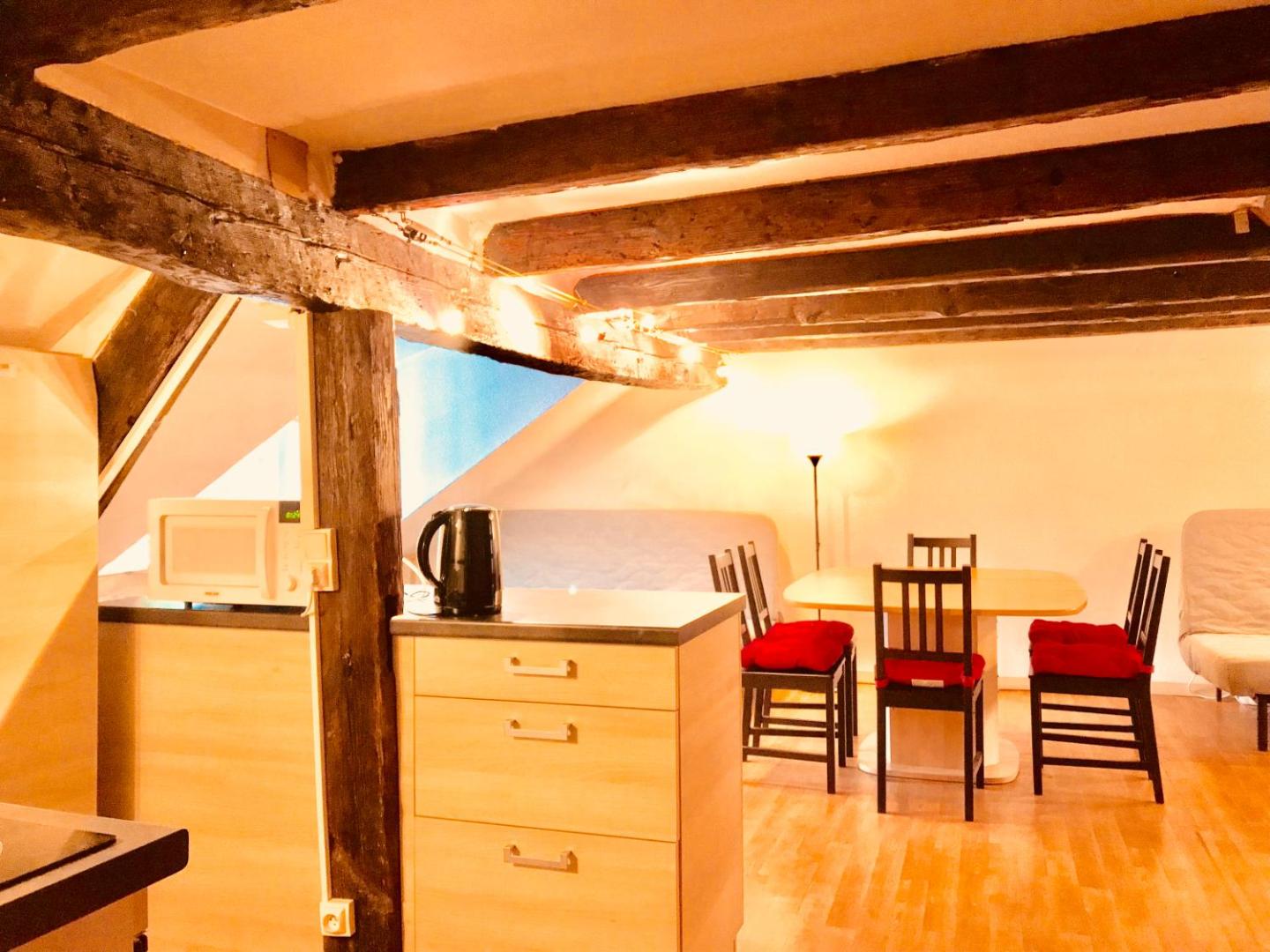 Attic Duplex in the Heart of Strasbourgの写真10