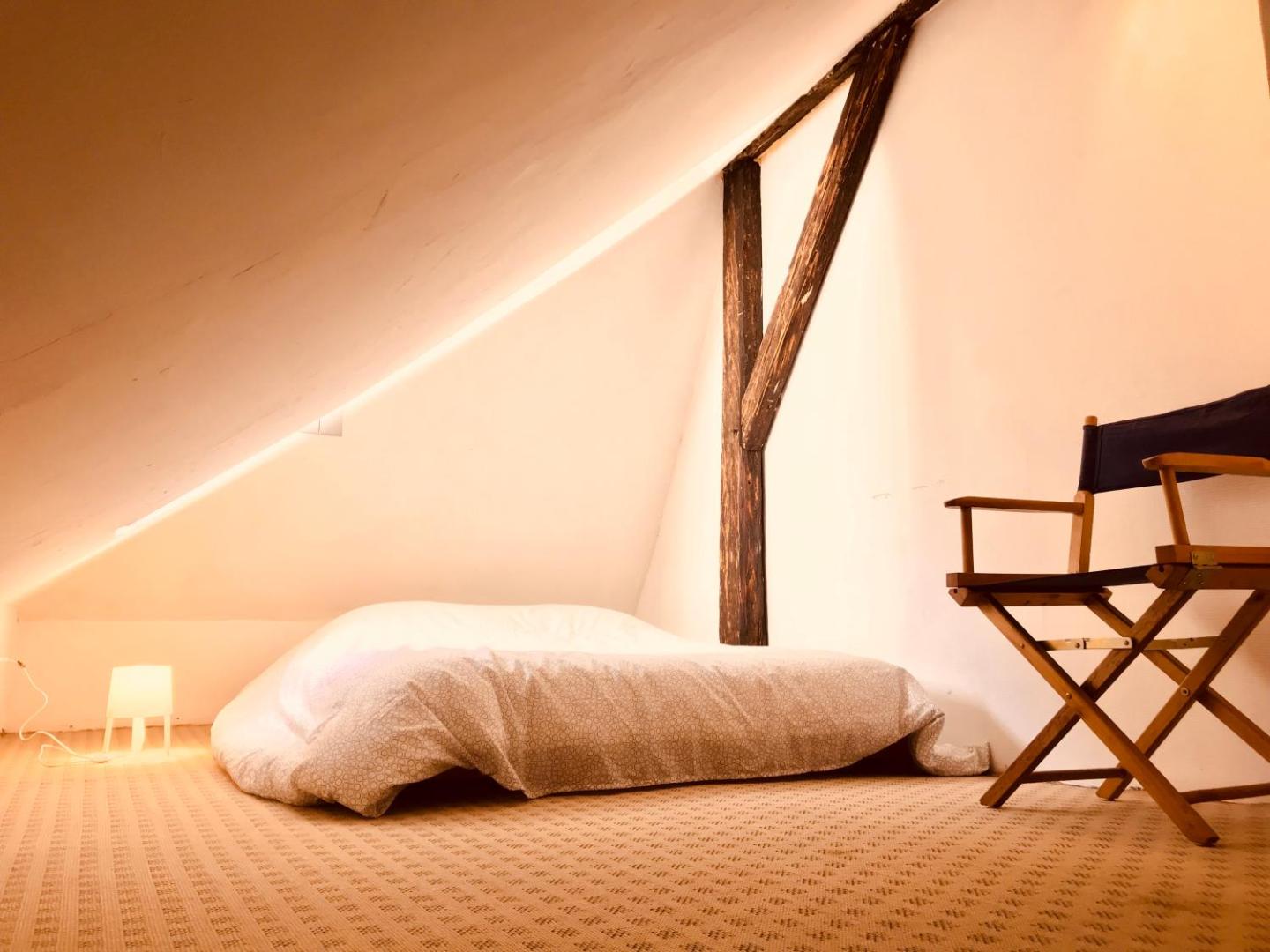 Attic Duplex in the Heart of Strasbourgの写真7