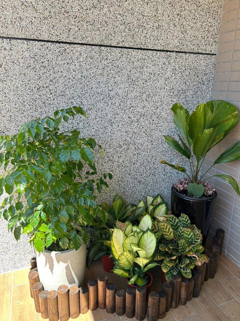 Foto 9: 芯之所嚮