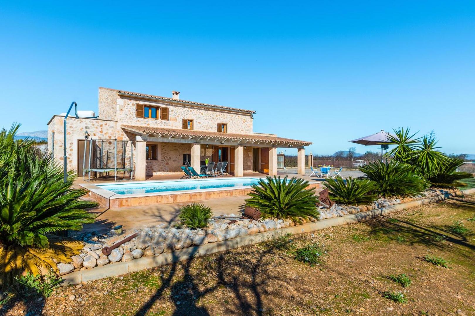 Photo 4 : Buger - 3721-55 Mallorca